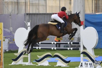 Equestrian-Show Jumping